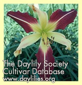 Daylily Radiation Biohazard