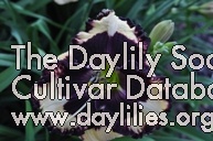 Daylily The Dark Side