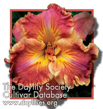 Daylily Carved Initials