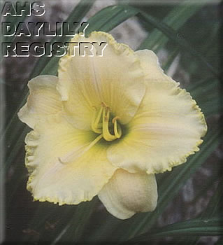 Daylily Eldon and Gerry