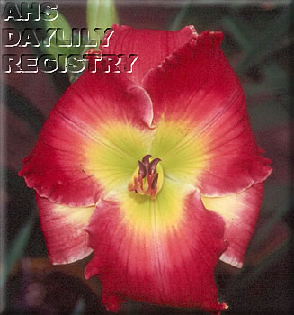 Daylily Sister Terry