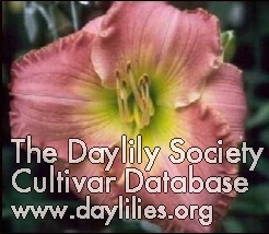 Daylily Song in My Heart